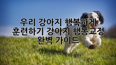 우리 강아지, 행복하게 훈련하기: 강아지 행동교정 완벽 가이드